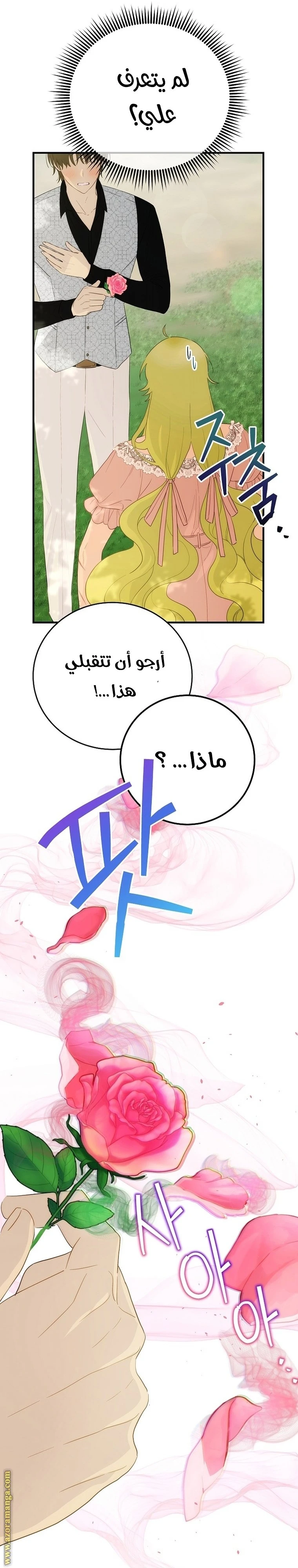 الصفحة 19