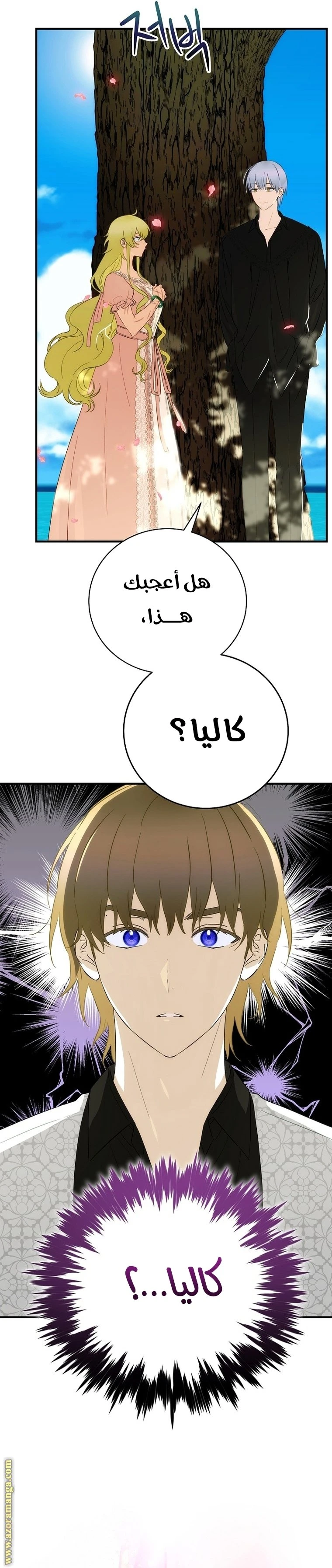 الصفحة 23