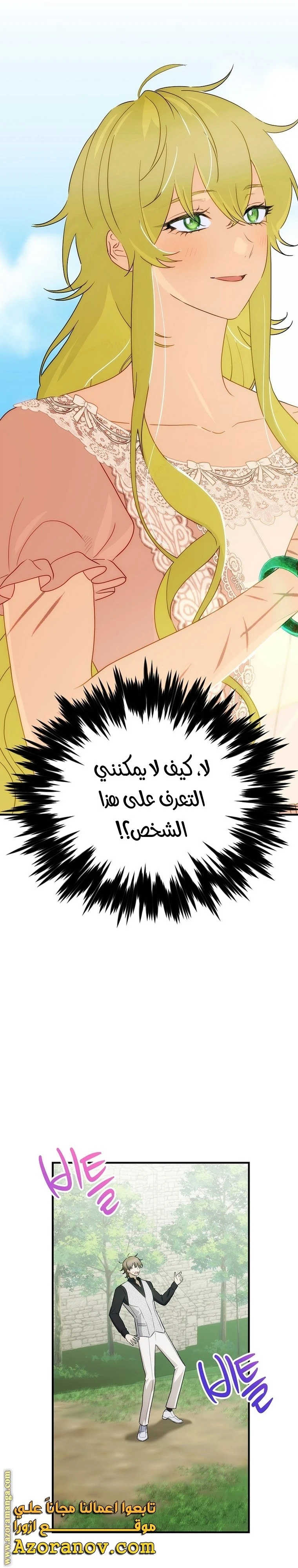 الصفحة 25