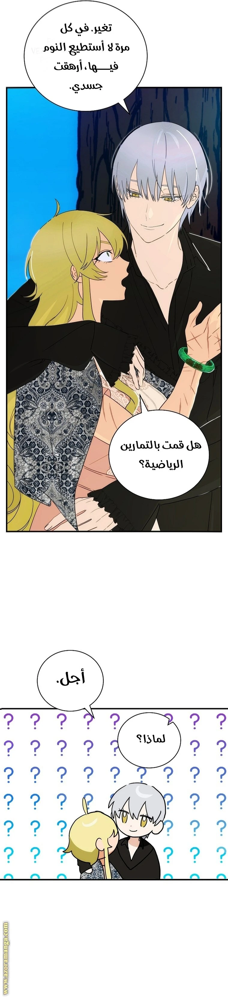 الصفحة 29