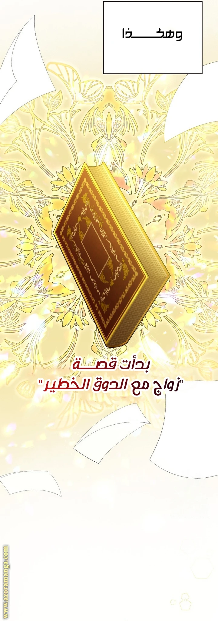 الصفحة 40