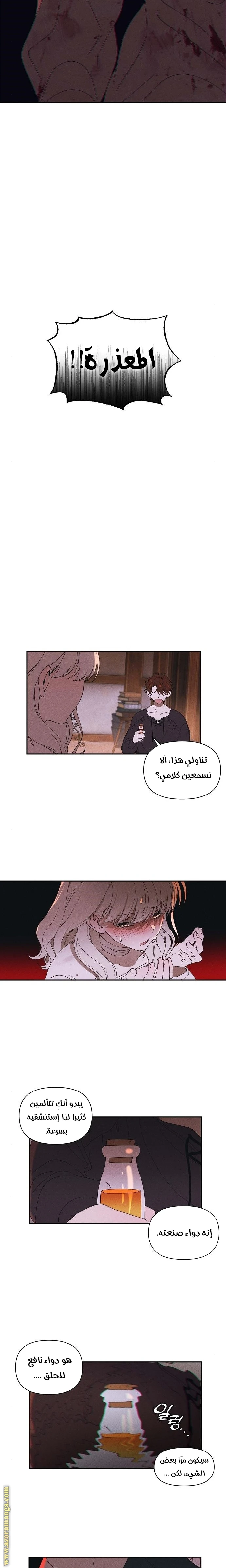 الصفحة 11