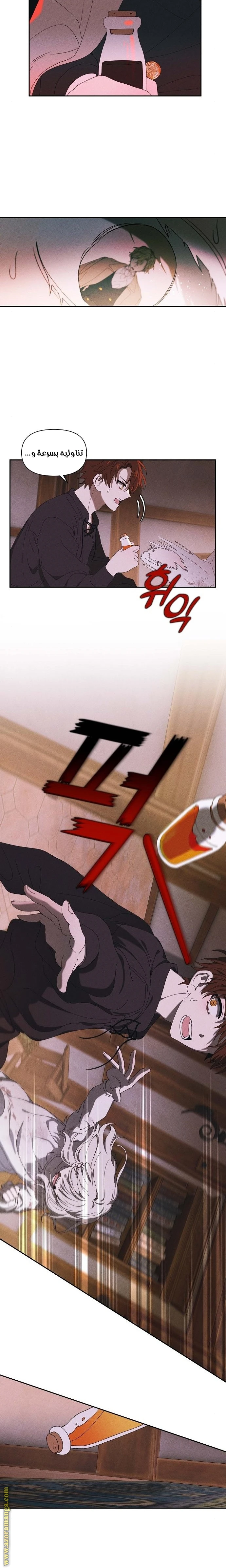 الصفحة 12