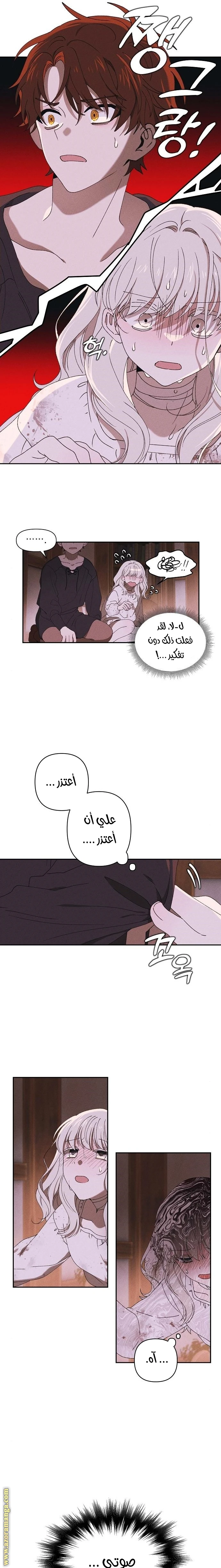 الصفحة 13