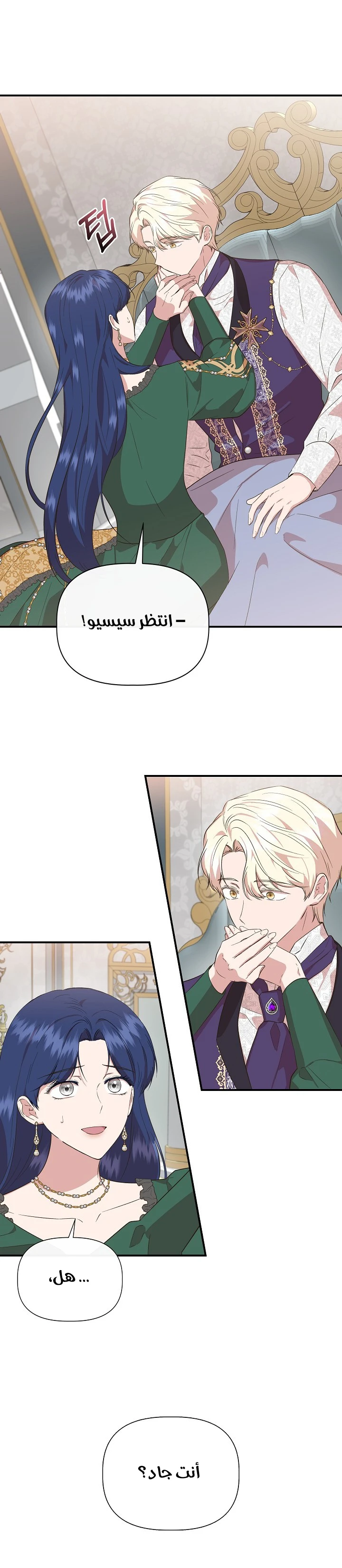 الصفحة 25