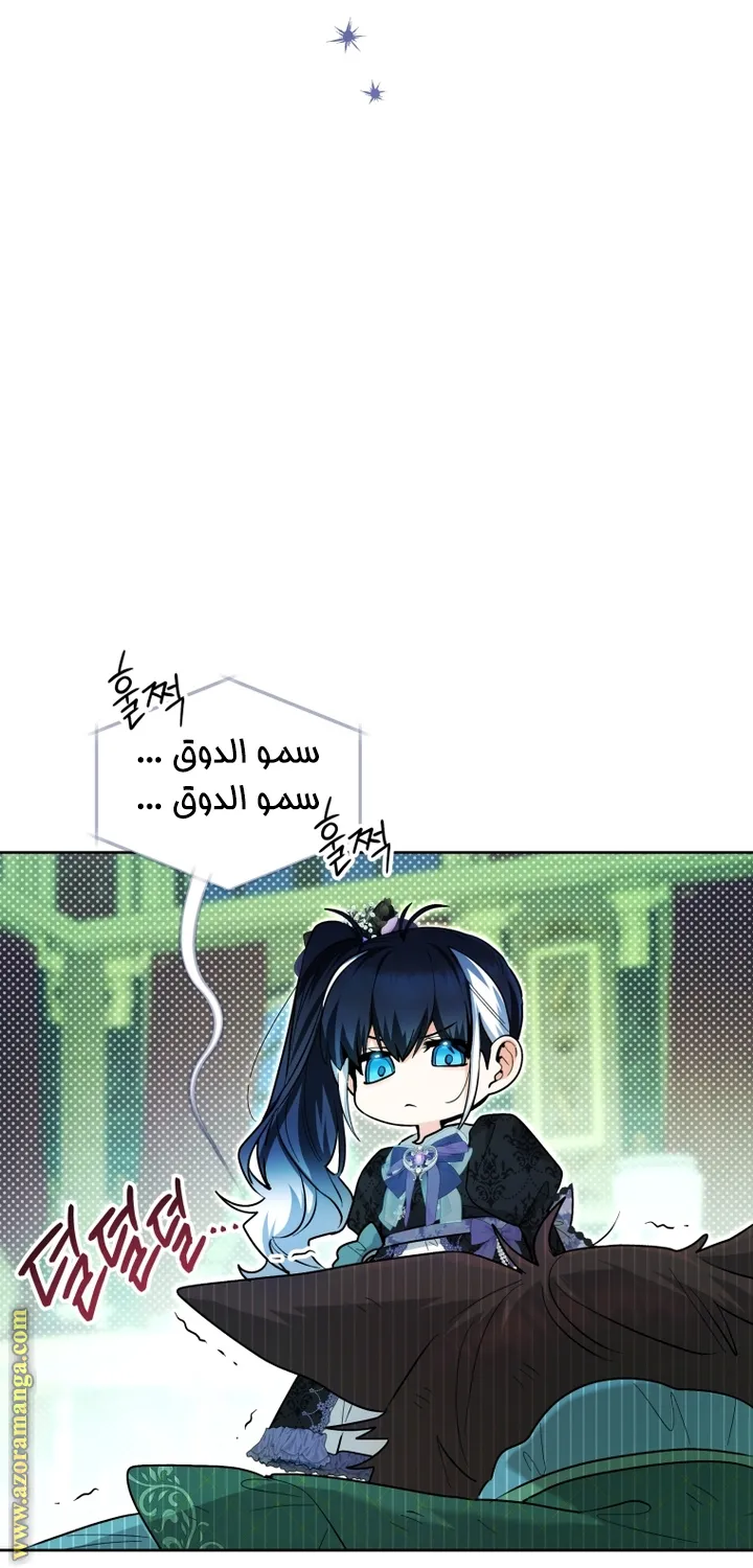 الصفحة 16