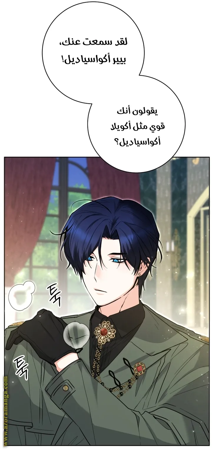 الصفحة 21