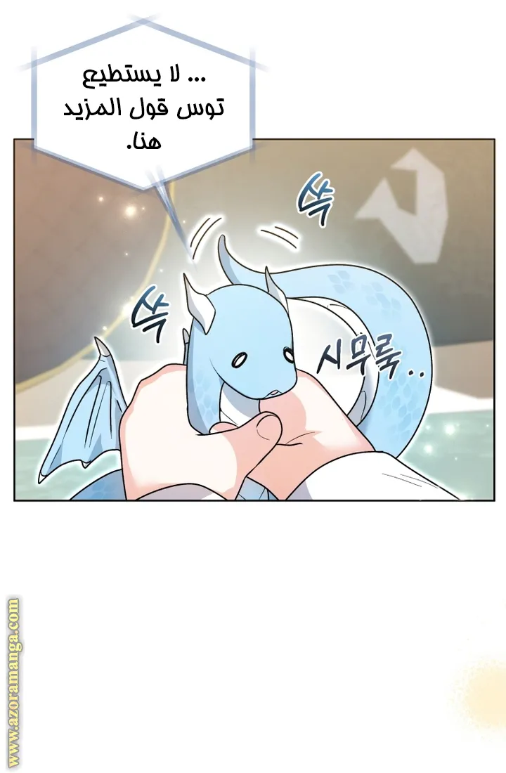 الصفحة 45