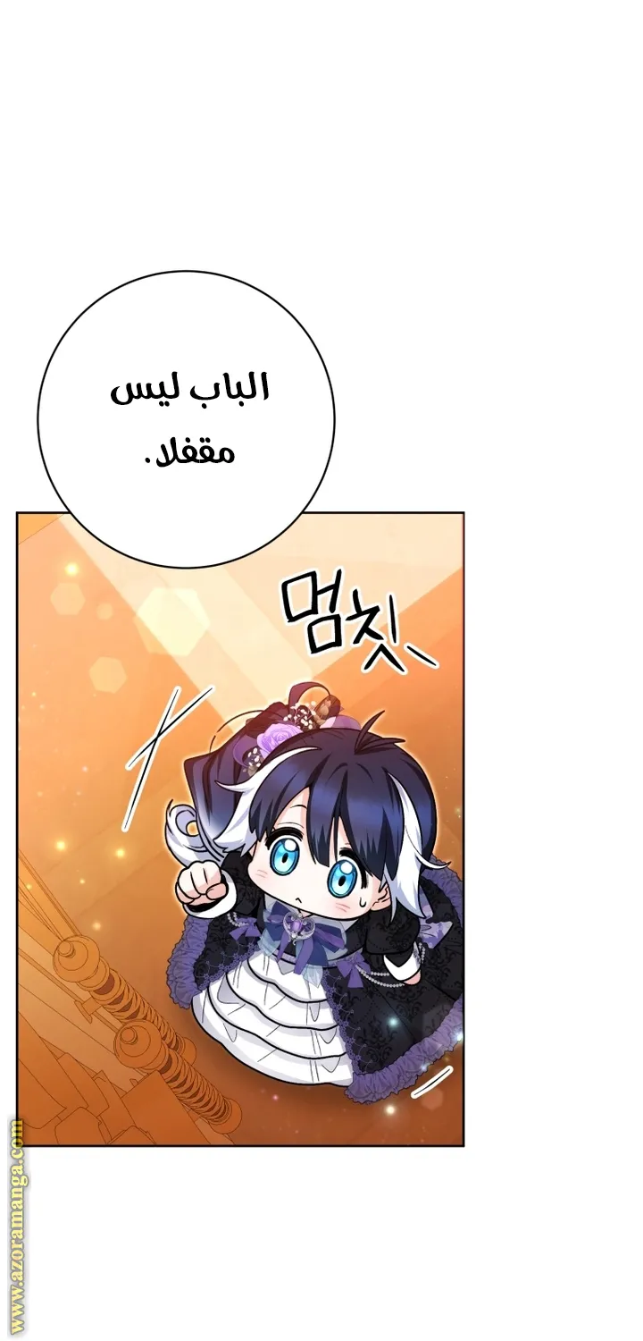 الصفحة 54