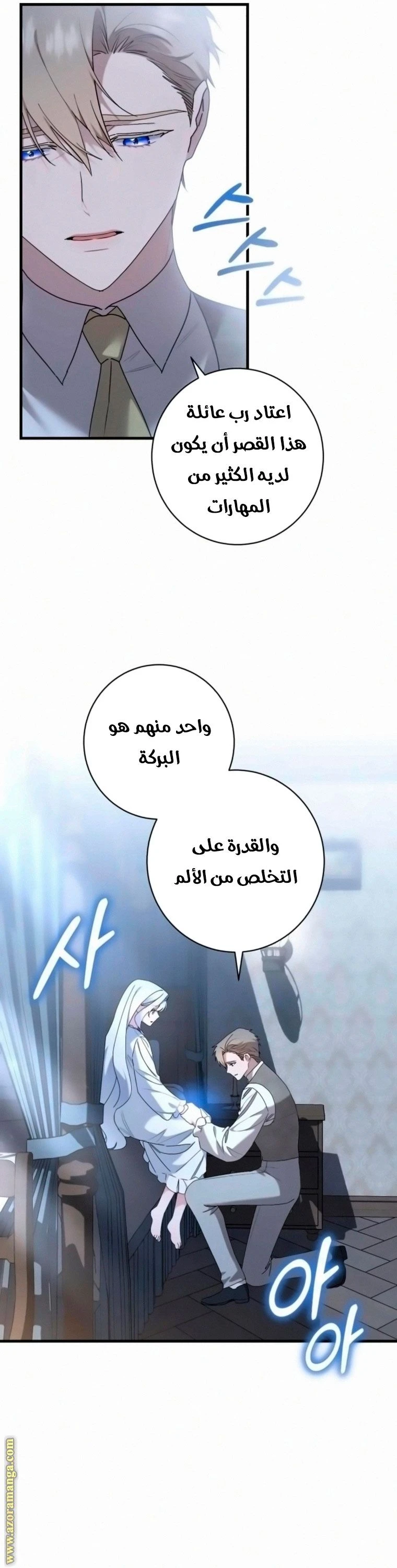 الصفحة 17