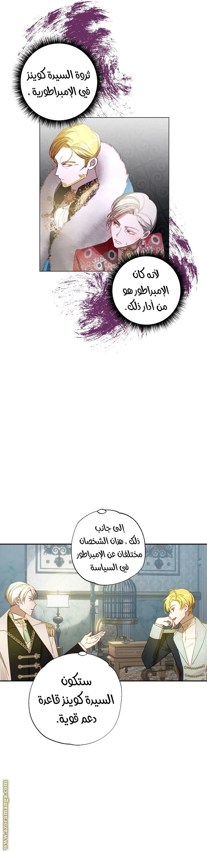 الصفحة 17