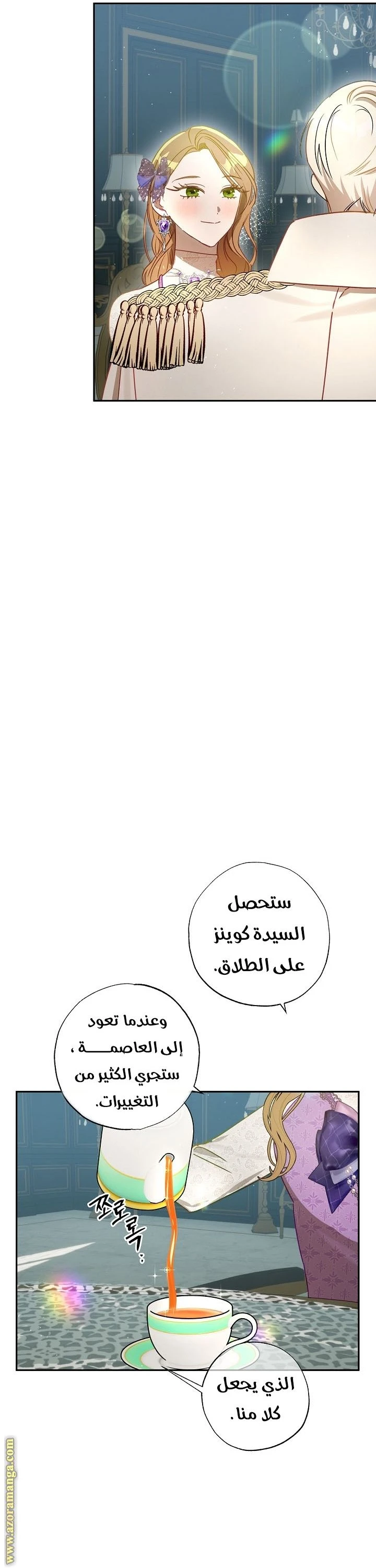 الصفحة 30