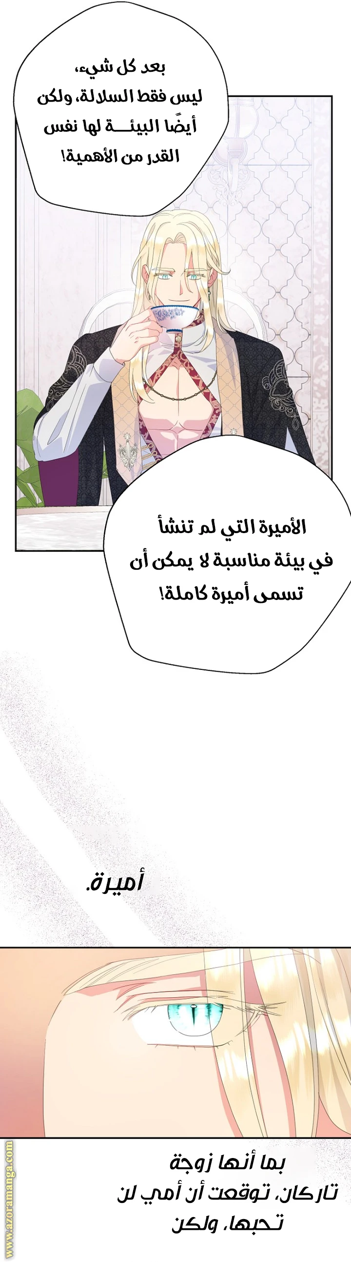 الصفحة 13