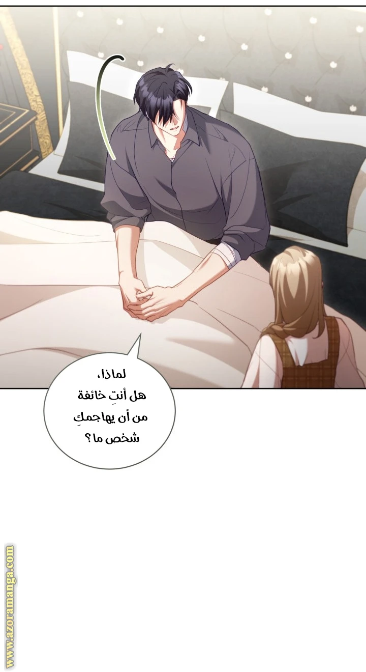 الصفحة 27