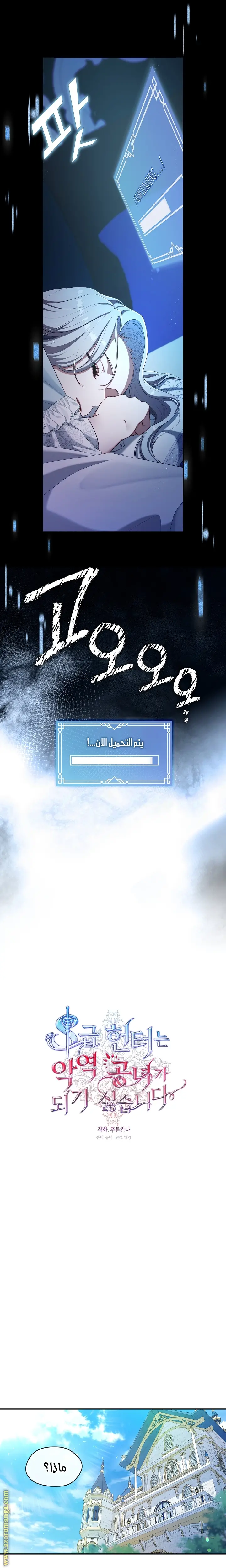 الصفحة 13