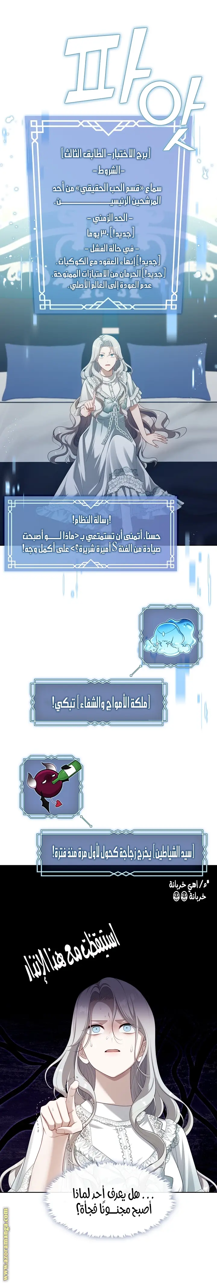 الصفحة 17