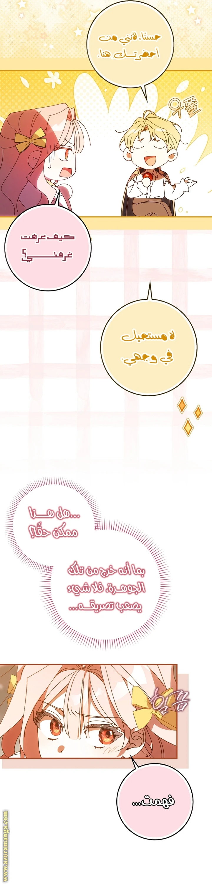 الصفحة 17