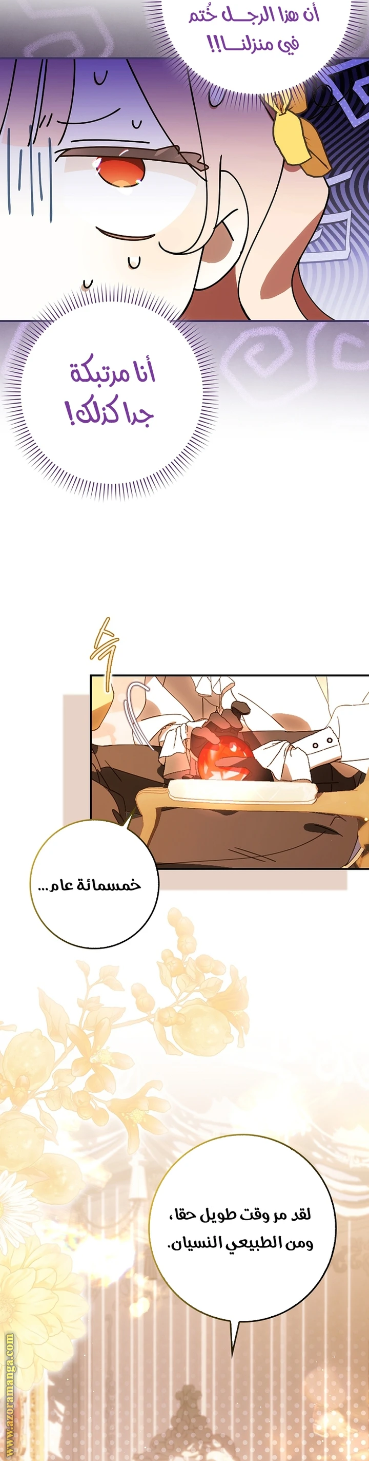 الصفحة 24