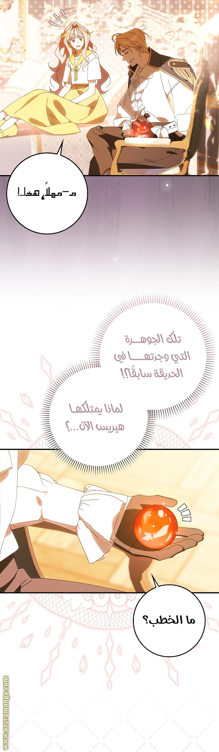 الصفحة 25