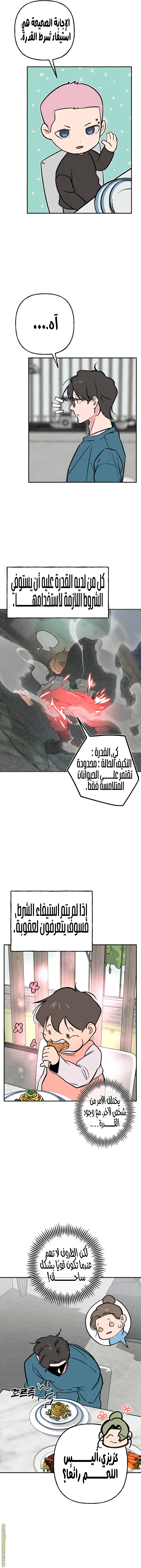 الصفحة 7