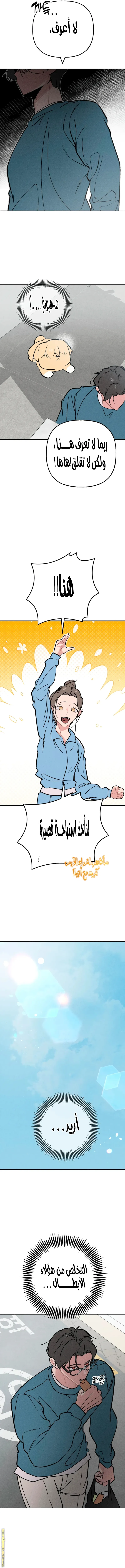 الصفحة 13