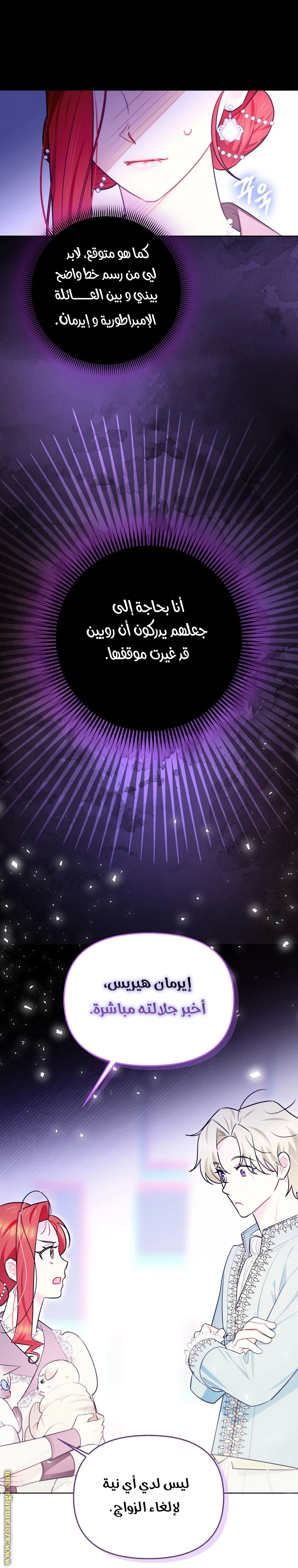 الصفحة 13