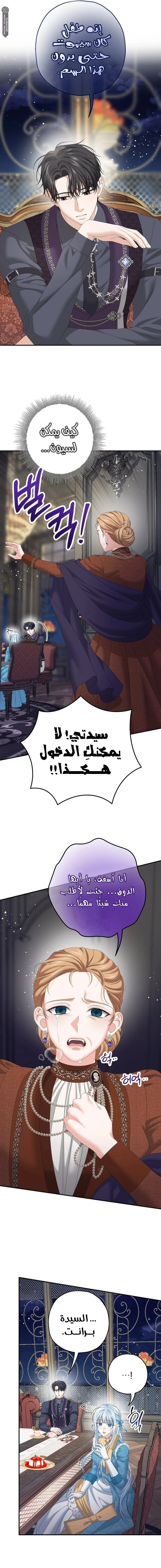 الصفحة 17