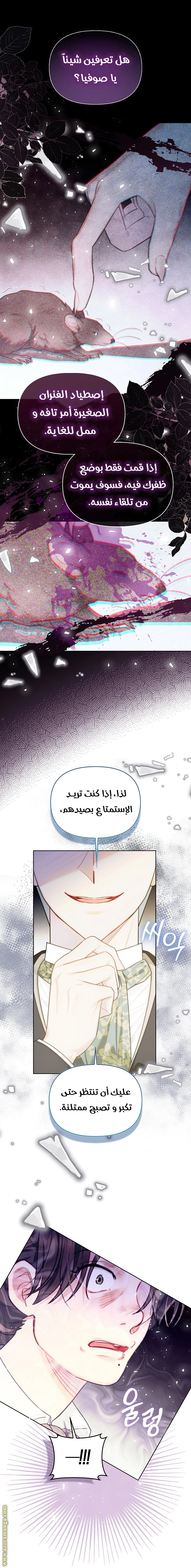 الصفحة 6