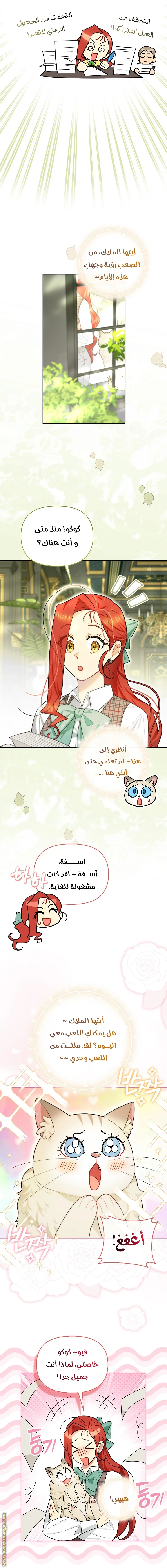 الصفحة 17