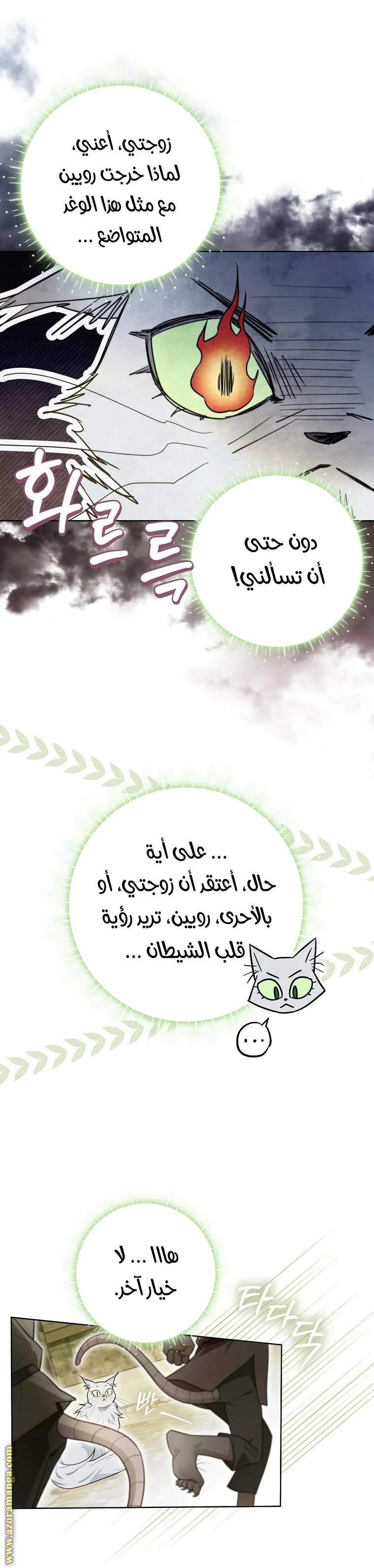 الصفحة 25