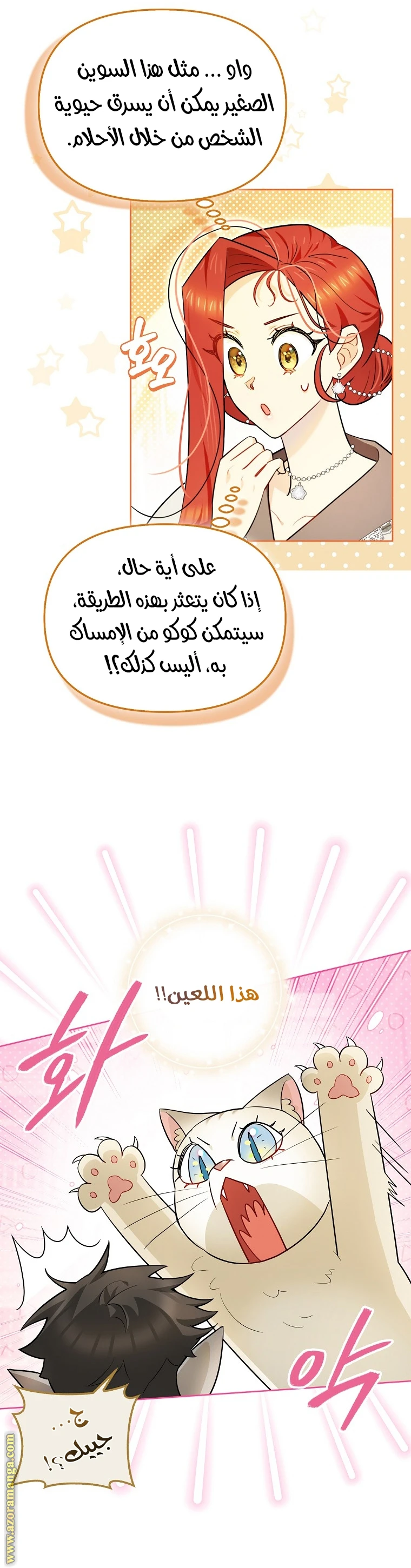 الصفحة 29