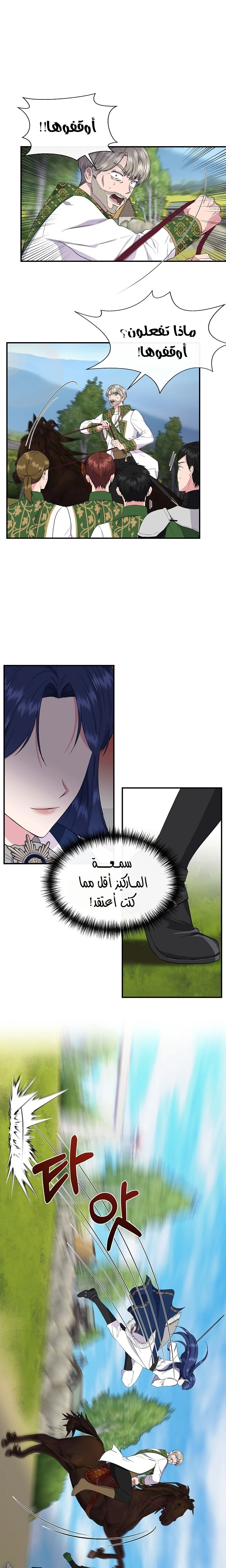 الصفحة 19