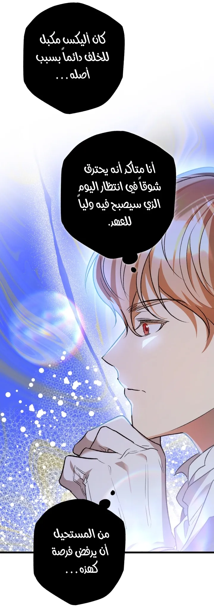 الصفحة 13