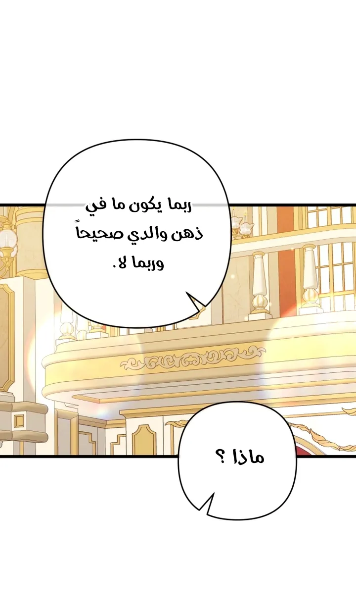 الصفحة 20