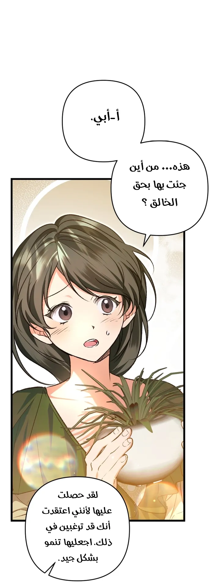 الصفحة 29