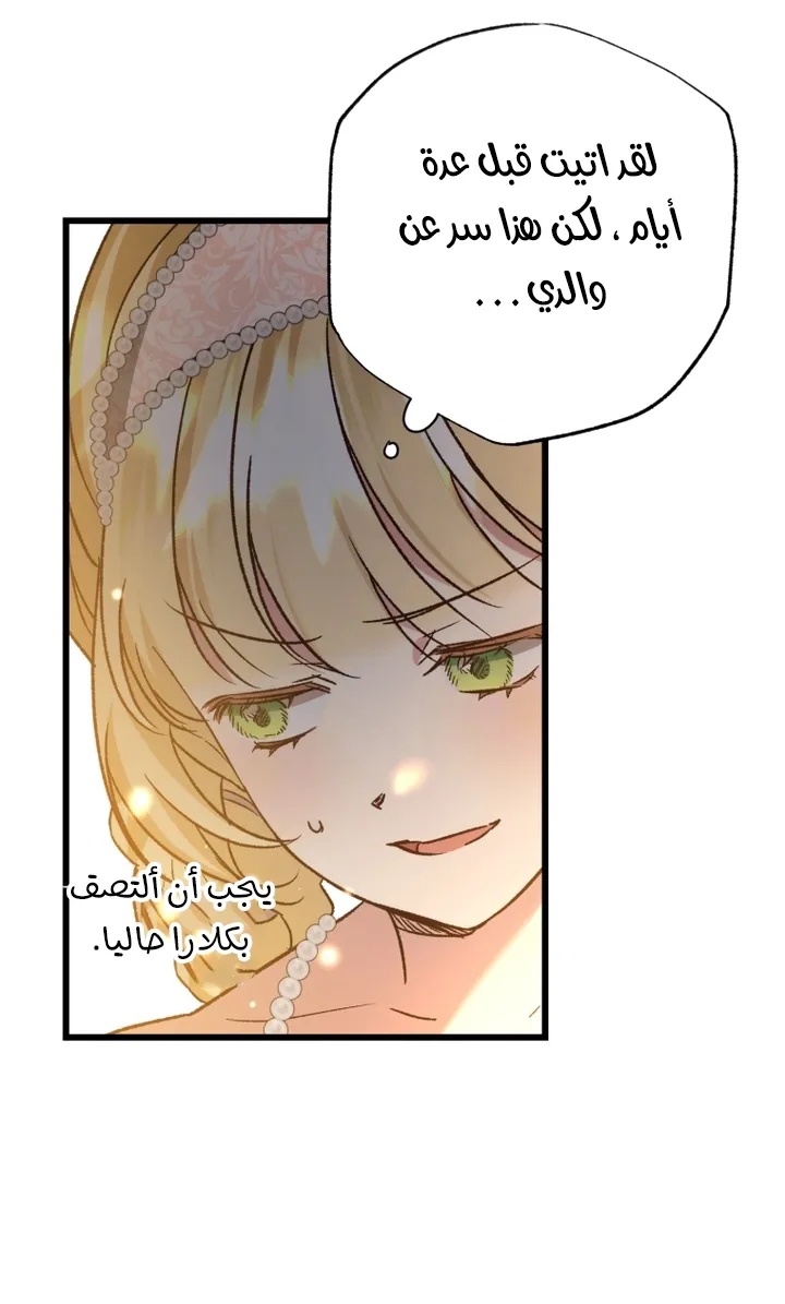 الصفحة 49