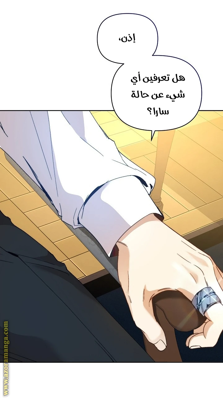 الصفحة 31