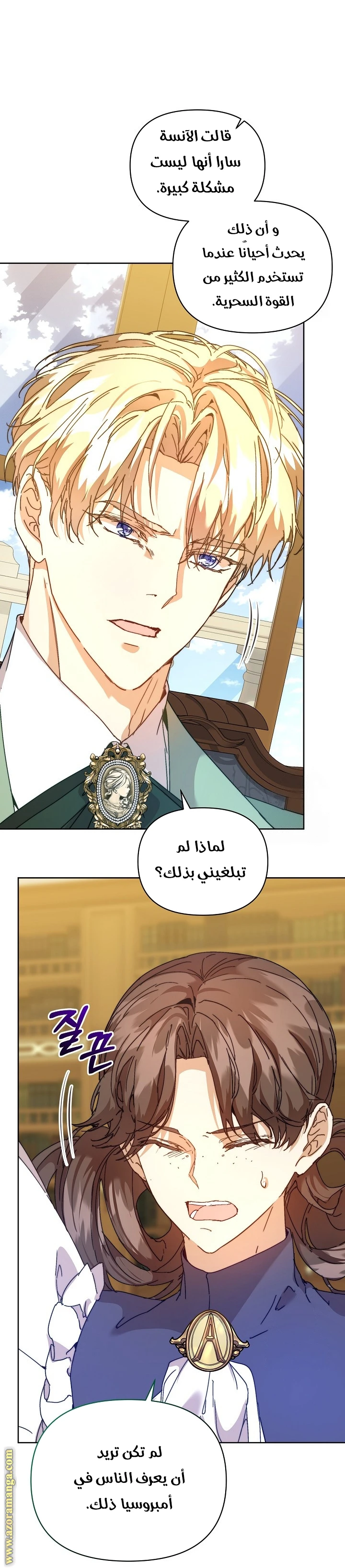 الصفحة 43