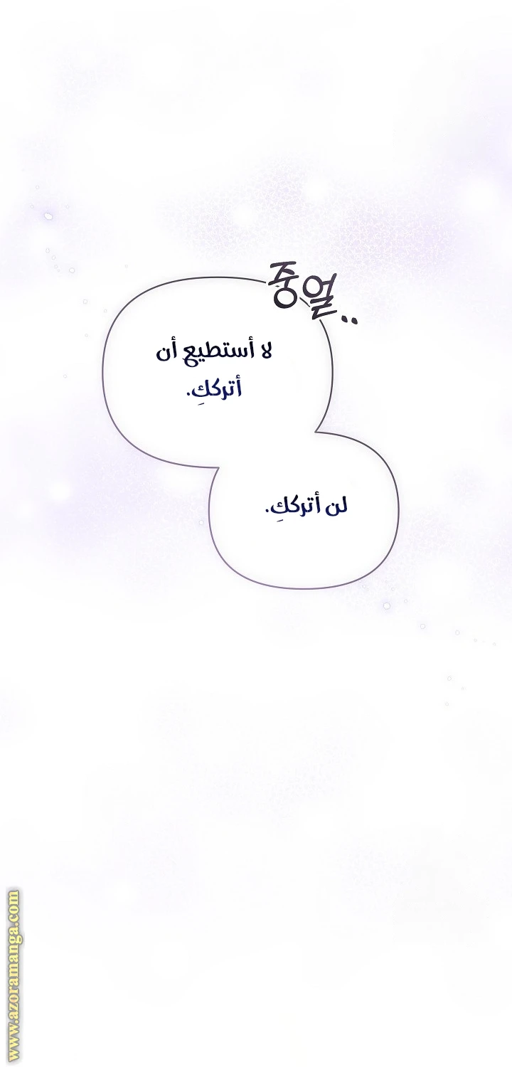 الصفحة 66