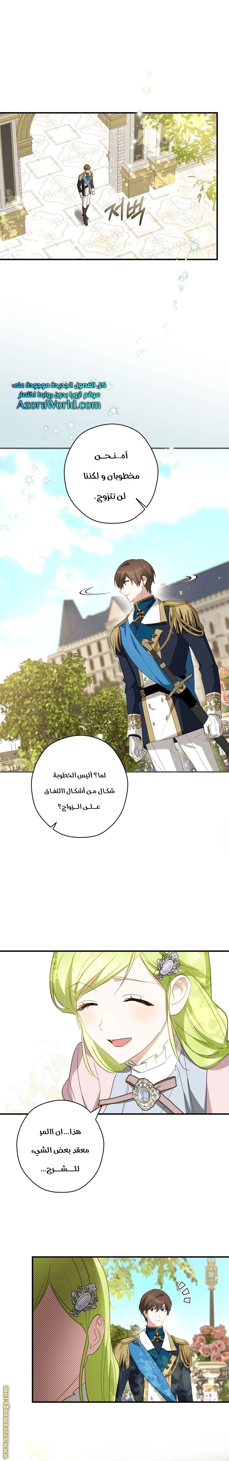 الصفحة 19