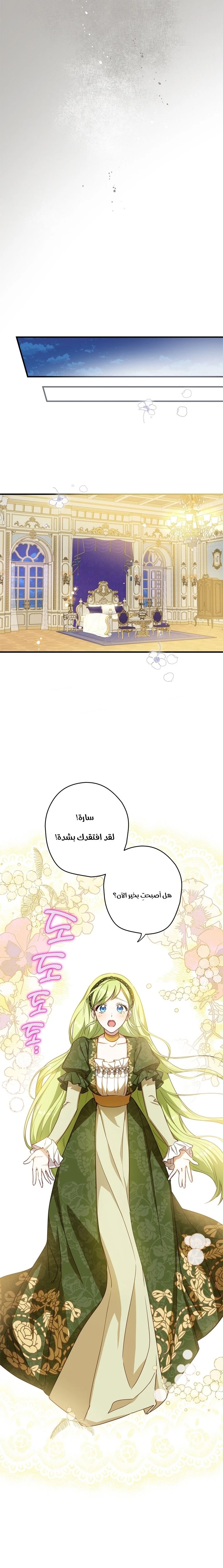 الصفحة 14