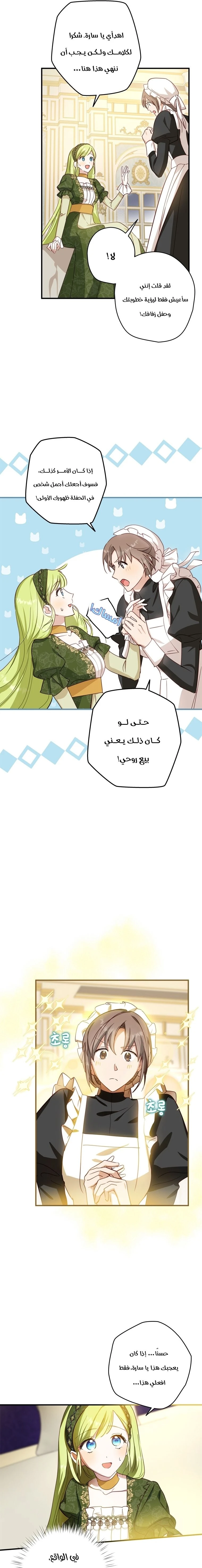 الصفحة 17