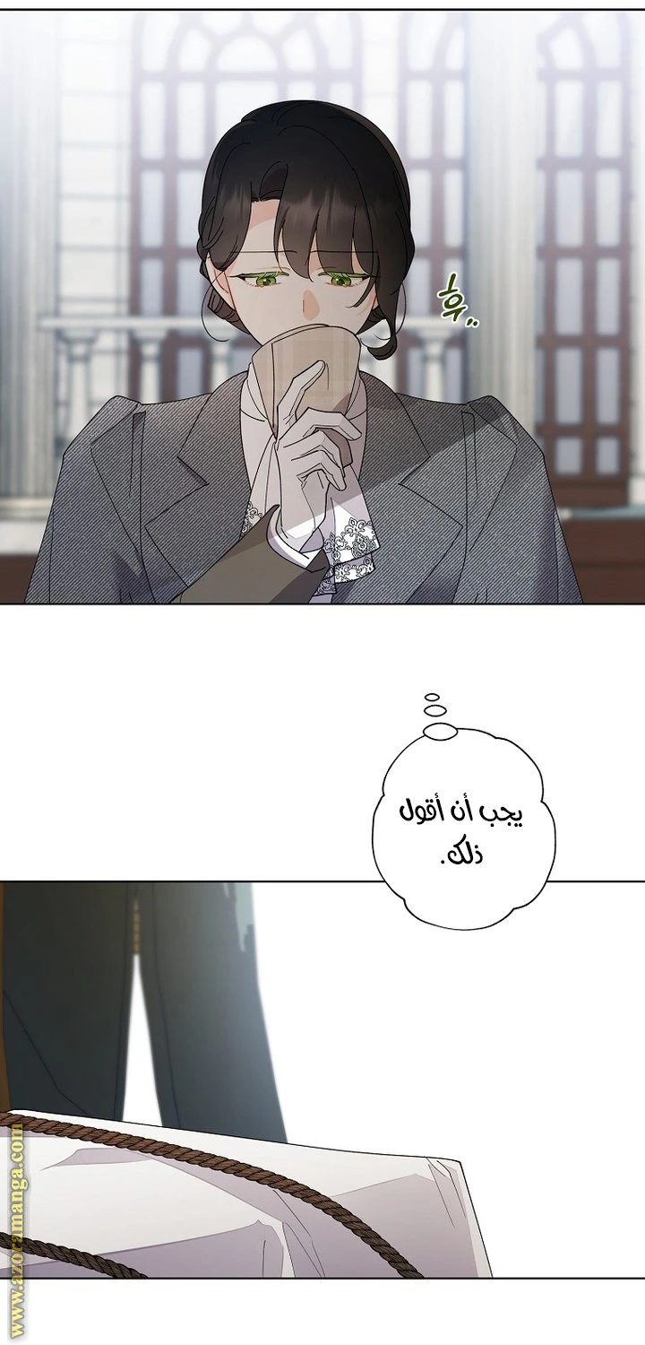 الصفحة 17