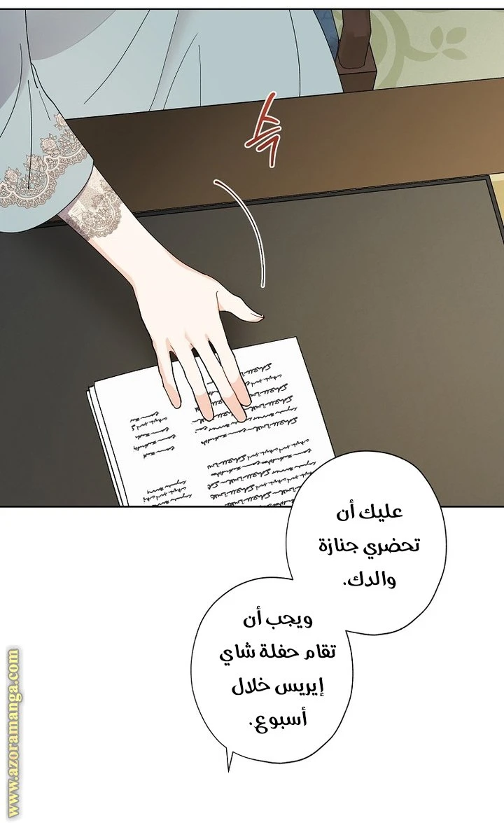 الصفحة 27