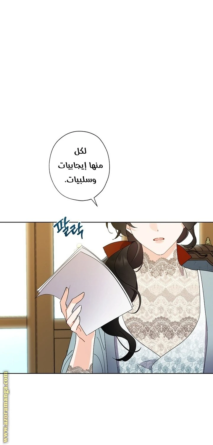 الصفحة 29