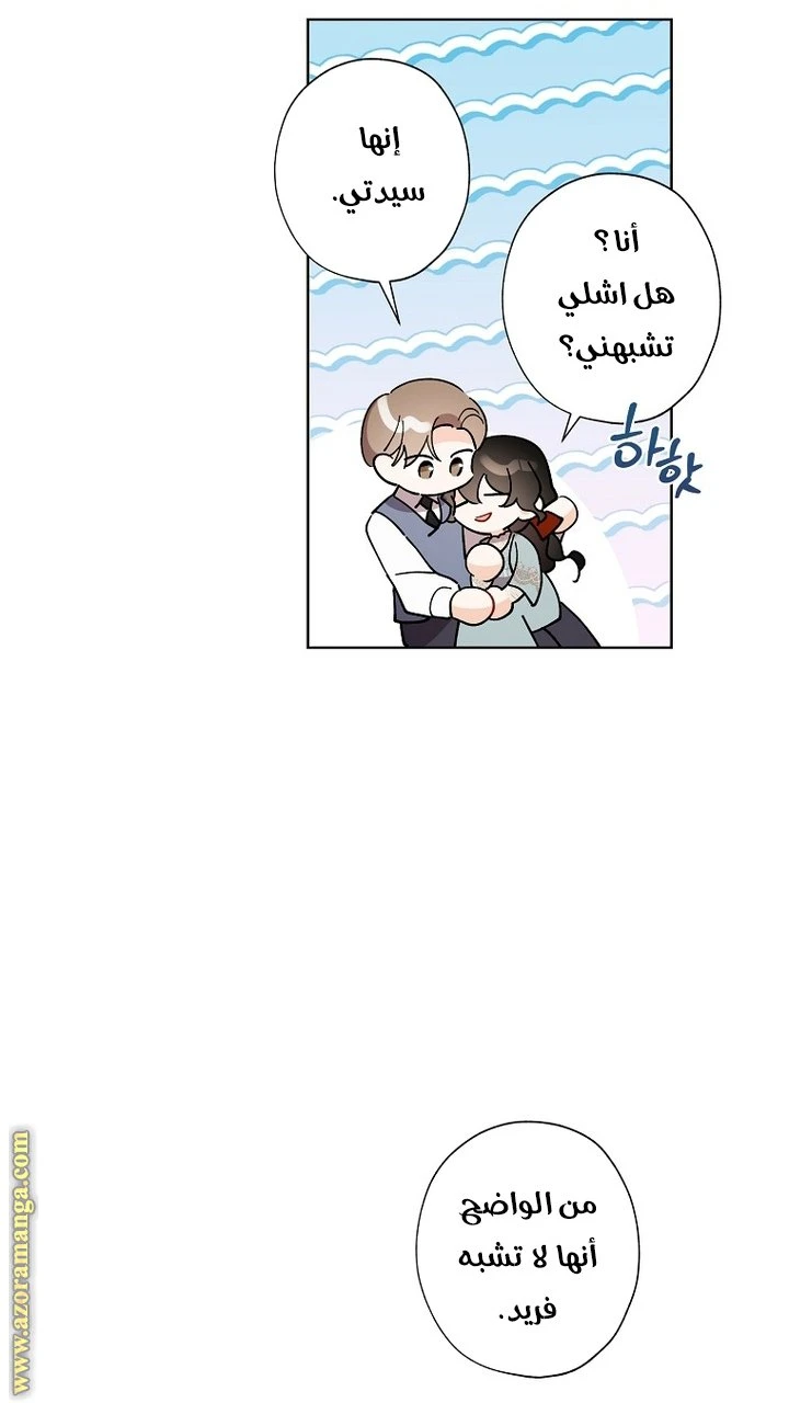 الصفحة 47