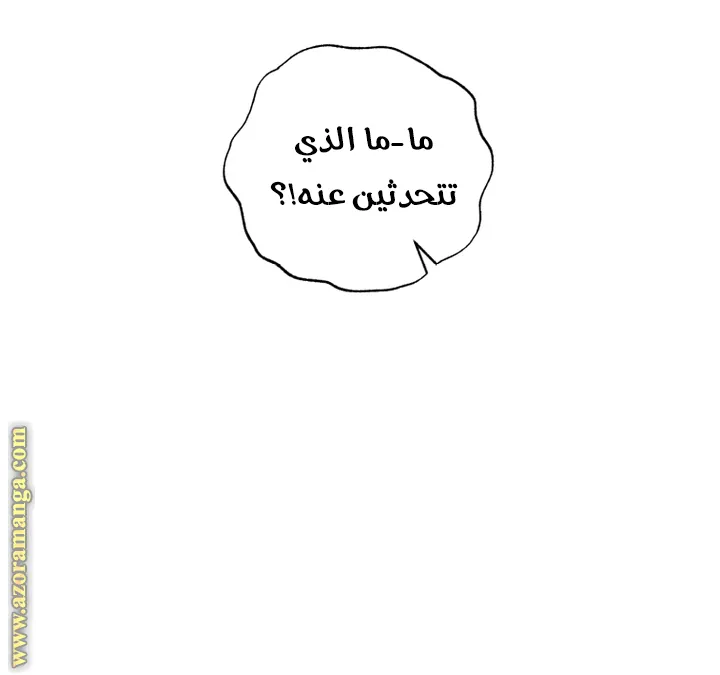 الصفحة 52