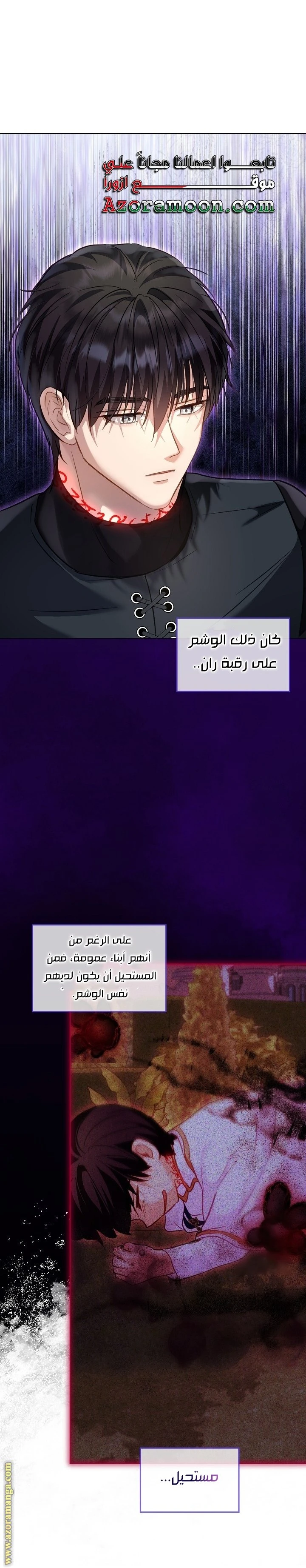 الصفحة 17