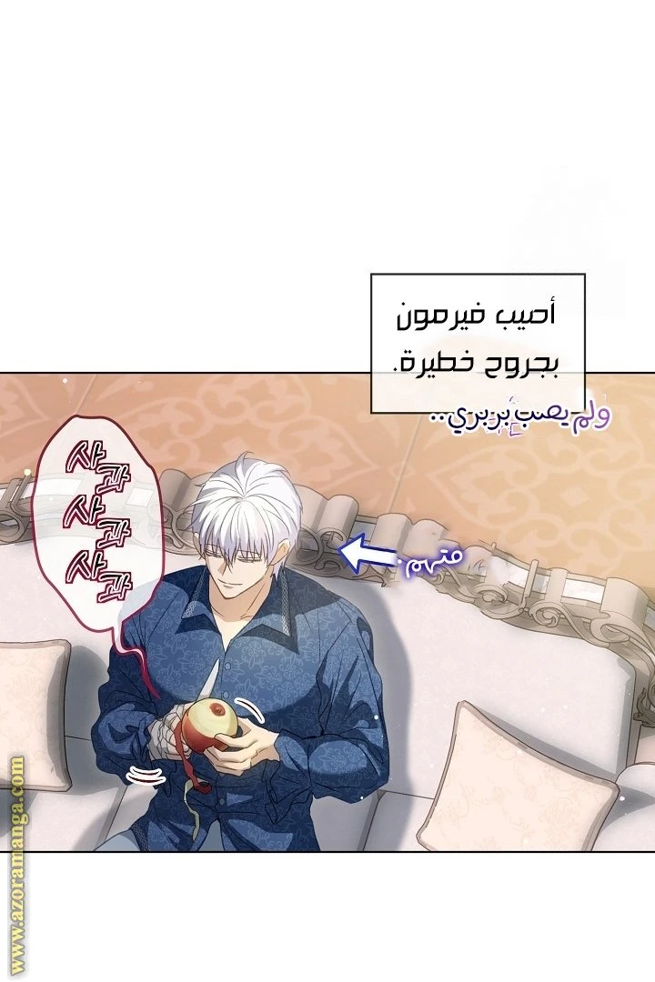 الصفحة 24