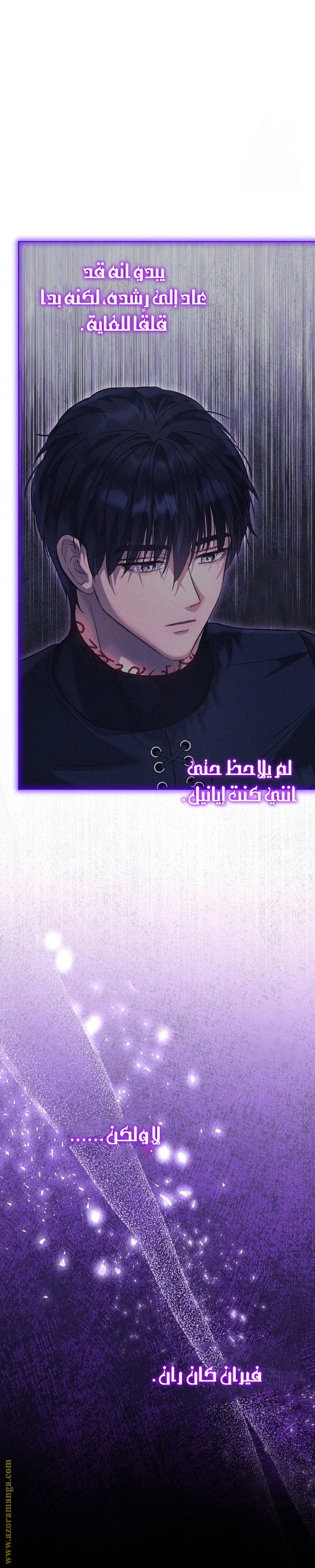 الصفحة 29